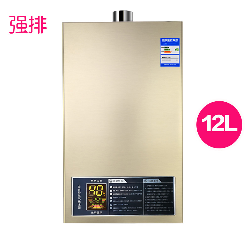 220V Fuel Gas Water Heater Strong Emission Constant Temperature 12L Balanced 16-Liter Remote Control Low Water Pressure Start