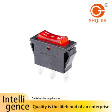 R11-113 Boat Switch with Two Positions