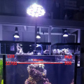 High Par 54W LED Aquarium Light Blue White UV PAR38 Aquarium LED Lighting E27 LED Plant Grow Light for Saltwater Reef Fish Tanks