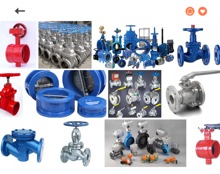 Butterfly Type Check Valve