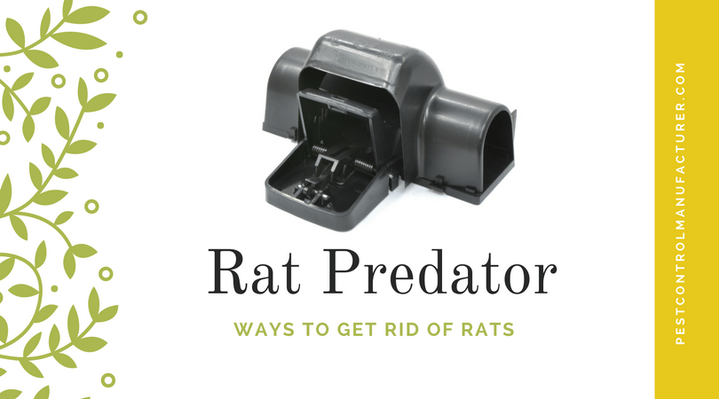 Plastic Rat Trap