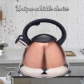 Brown Mirror Stainless Steel Whistling Tea Kettle