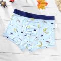 4Pcs/Lot Cotton Kids Underwear Boxer Baby Children Panties Briefs for Boy Teenager Underpants 2-12Y