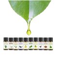 Pyrrla 8ml 10 pcs/Set with Gift Box Pure Essential Oil Lemon Rosemary Vetiver Ylang Jasmine Myrrh Patchouli Eucalyptus sage Oil