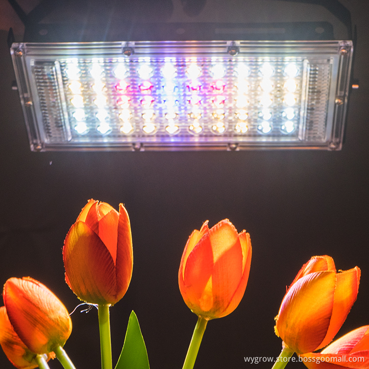 150w Plant Factory Farming led grow light