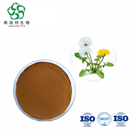 Natural Dandelion Extract 10:1 Flavone 5% for Sale, Offer Natural Dandelion Extract 10:1 Flavone 5%