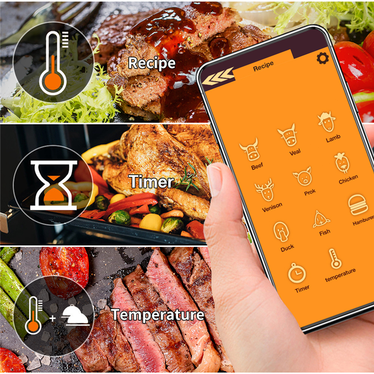 SH253A wireless blue tooth grill BBQ meat thermometer 