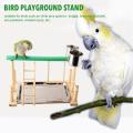 2020 Bird Toys Parrot Playstand Bird Play Stand Cockatiel Playground Wood Perch Gym Playpen Ladder with Feeder Cups Toys