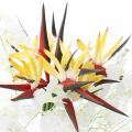Single small paradise bird fake flower real flower touch bouquet soft plastic flower color bird of paradise dried flower decorat