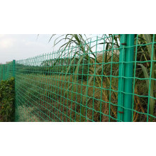 Holland wire mesh fence green color PVC coated