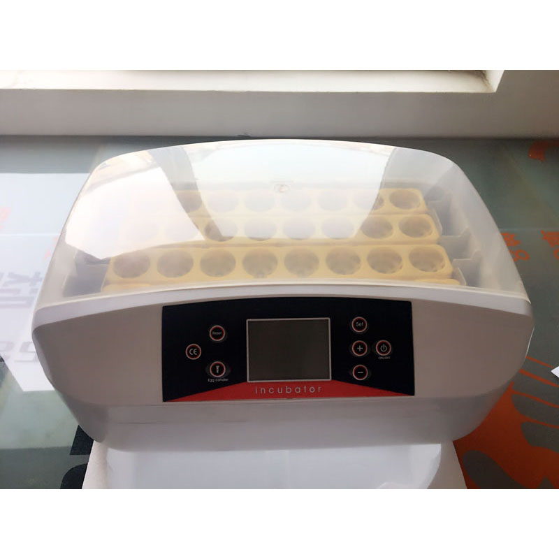 Jusenda Smart LED Screen 32 Egg Incubator Temperature Humidity Display Chicken Hatcher Machine Egg Turning Spain China For Sale