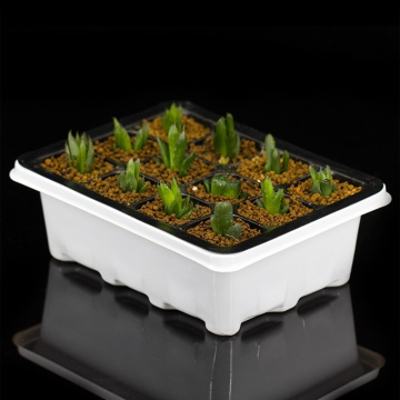 6/12 Cells Planting Nursery Container Germination Box Breathable Sprout Plate With Dome And Base Gardening Supplies 19*14*11cm