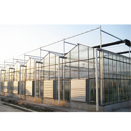 Agricultural Large Venlo Glass Flower Greenhouse Manufacturers and Agricultural Large Venlo Glass Flower Greenhouse Suppliers