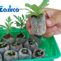 Nursery Seed Starting Trays with10 Cells, Seeding tray Plug tray Best for Jiffy 38mm(4pcs/pack)