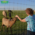 Electro galvanized grassland fences