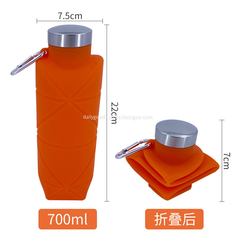  700ml bottle (8)