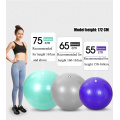 Thicken Matte Surface Yoga Balance Ball 55CM 65CM 75CM Explosion Proof Sports Yoga Ball Pilates Fitness Exercise Gymnastic Ball