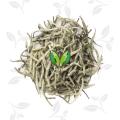 Bai Hao yin zhen Silver Needle white tea