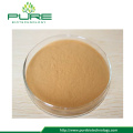 Natural Maca Extract Powder