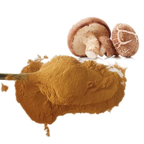 High Quality Shiitake Extract Powder Polysaccharide for Sale, Offer High Quality Shiitake Extract Powder Polysaccharide