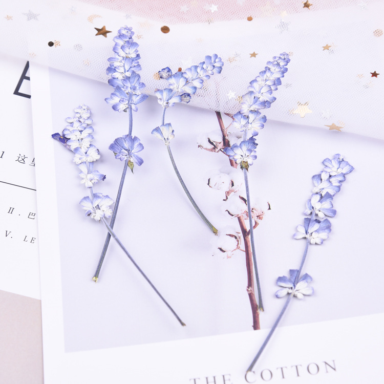 20pcs/lot,Natural Pressed flowers with stem,Eternal real rose flowers for DIY Wedding invitations Craft Photo Bookmark Gift Card