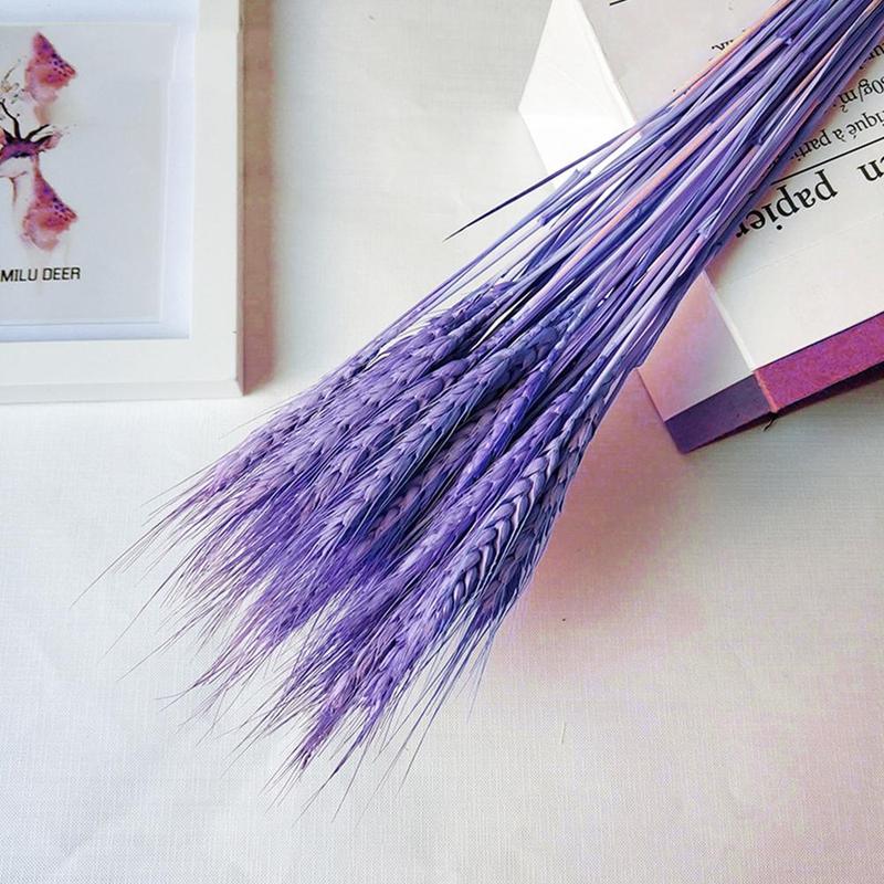 25Pcs Natural Dried Flower Wheat Ear Bouquet for Wedding Party Decoration Scrapbook Wheat Branch Props DIY Craft Home Decoration