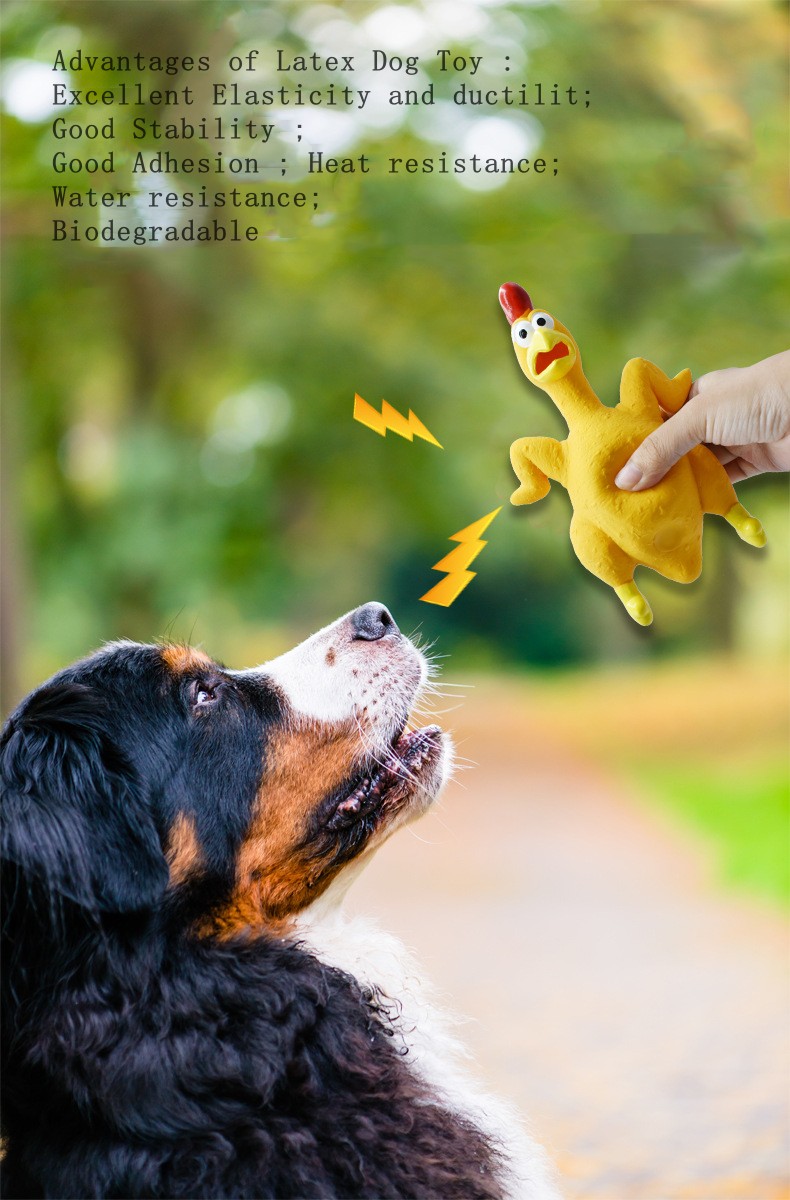 Squeaky Pet Toy Ball