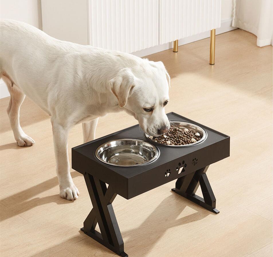 Dog Bowl Jpg