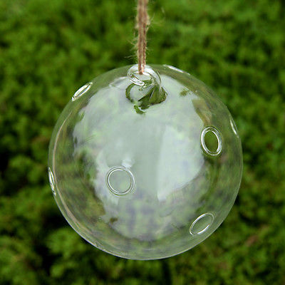 Hanging Ball Glass Flower Planter Vase Terrarium Container Landscape Bottle