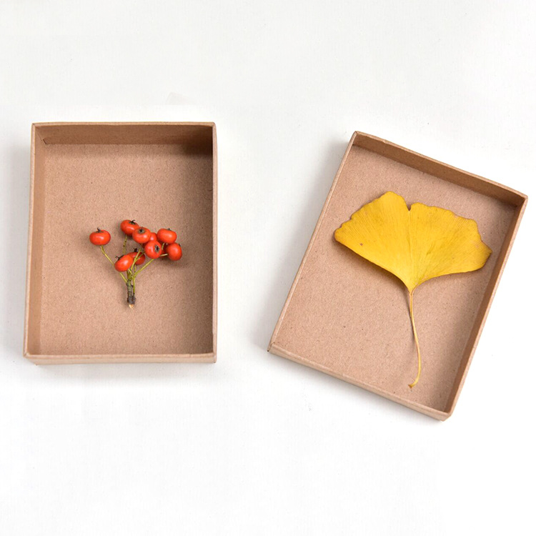 Jewelry Box 21 Jpg