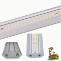 led grow lights bars netherlands