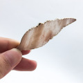 Natural Angel Wing Pendant Wing Pendant name family wind carved Angel Wing Pendant Necklace