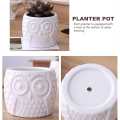 2 Styles Ceramic Succulent Pots Garden Planter for Plants Bonsai Pot Bamboo Plants Stand Sets