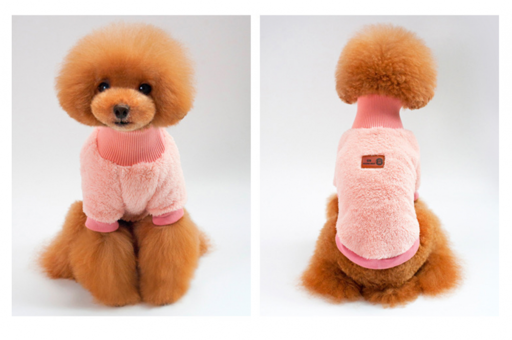 Pet Clothing