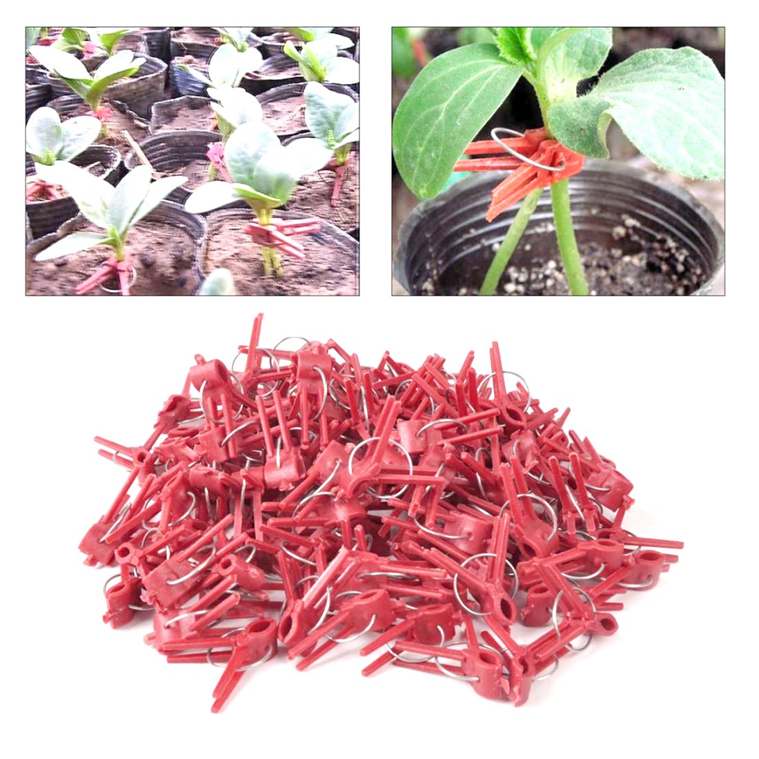 New Style 100pcs Durable Plastic Grafting Clips Garden Vegetable Flower Tomato Vine Bushes Plants