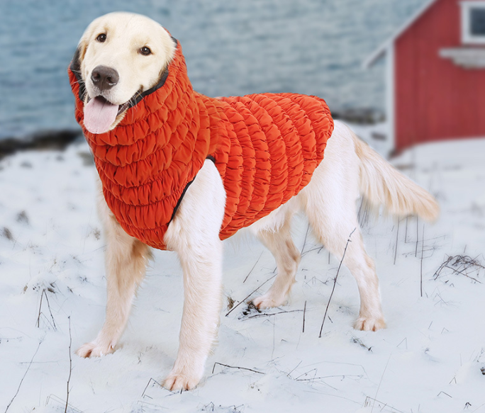 Dog Jacket Walmart
