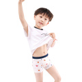 2-4 Pack Children Underwear Boys Panties Cotton Boxer Children Briefs For Boy Shorts Baby Panties Kids Underwear