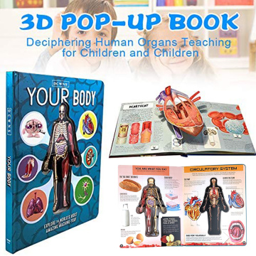 3D Picture Human Body Structure Book Anatomy Science Cognitive Reading Children Early Education Books Kids Toys Random cover Hot