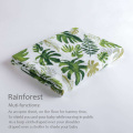 rainforest