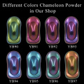 8 Packs Chameleon Pigment Powder Coating Acrylic Paint Chameleon Dye for Cars Automotive Craft Nail Decoration Painting 10g/pack