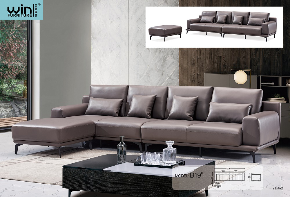 Living Room  Sofa
