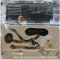 Transparent Ant House castle, A nest for pet ants Mimic ecosystem, You can fill Clay Sand Ants Farm Maze Insect Nest box