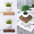 Floating Geometric Bonsai Pot Rotation Planters Magnetic Levitation Flower Pot Home Office Desk Decor Creative Birthday Gift