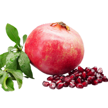 Fresh Soft Seed Pomegranate for Premium Fruit Market