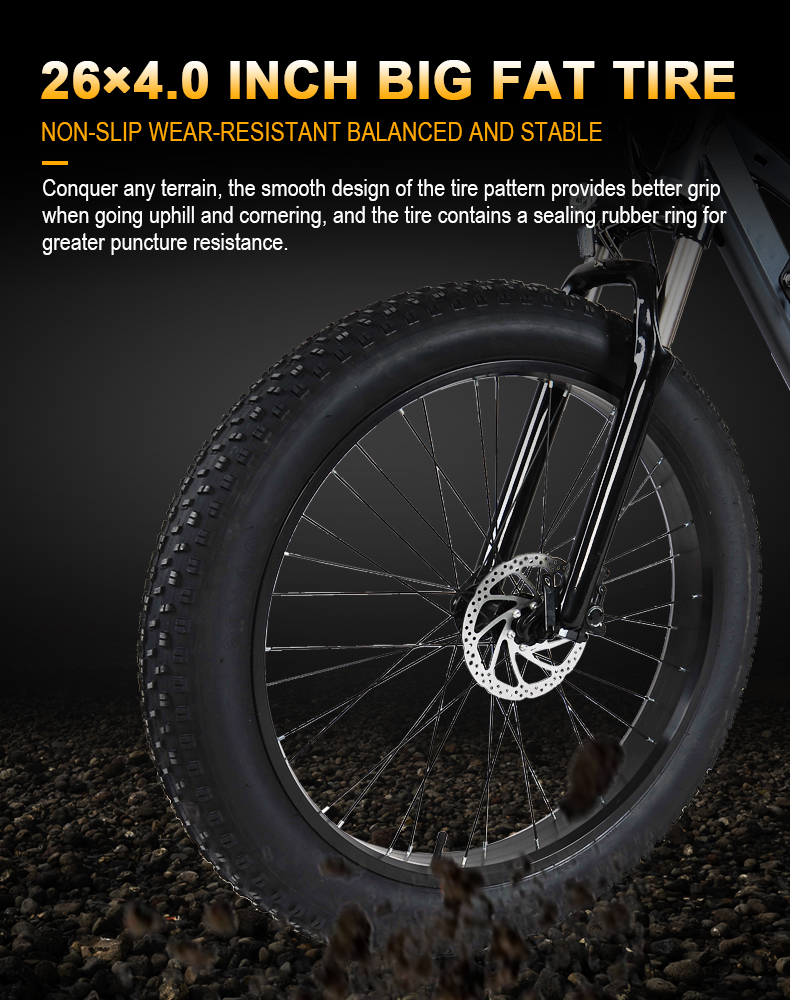 Brushless Motor Electric Fat Tire Bike