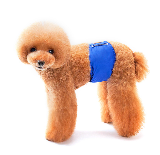 Dog Physiological Pants