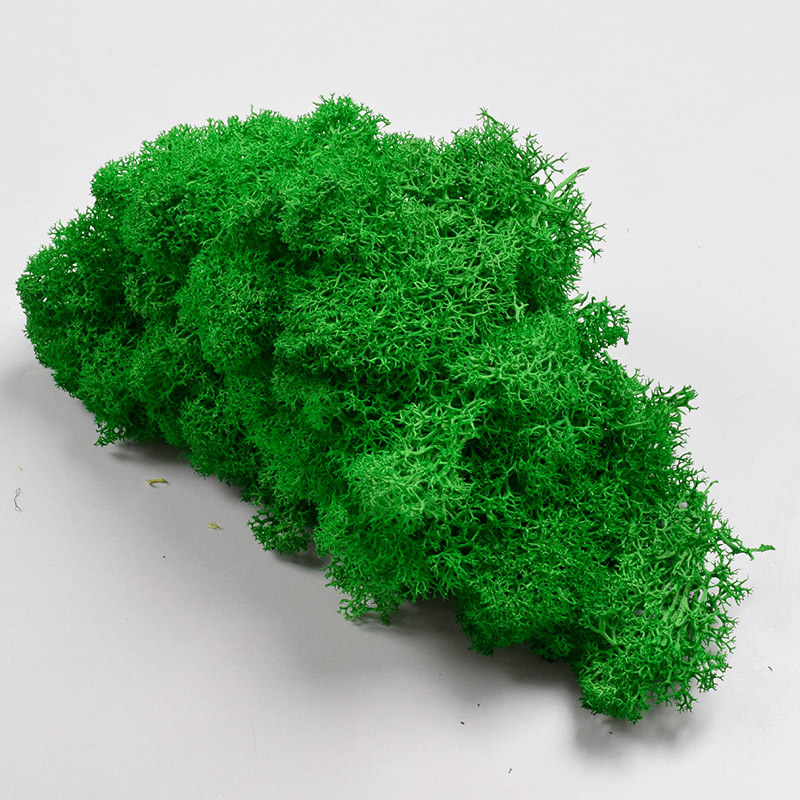 Natural Artificial Moss Dried Grass DIY Decorative Preserved Flowers Accessories Wedding Ornament Garden Wall Decoration