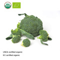 USDA and EC Certified Organic Broccoli Sprout Extract 10;1, Broccoli Extract 10:1, Sulforaphane