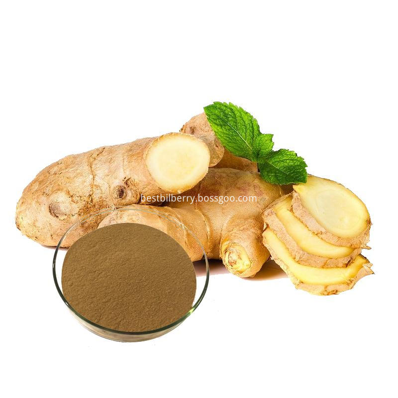Ginger powder(1)
