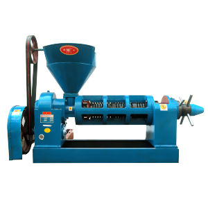 YZYX10-6 Screw oil press